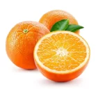 6571c565558925a4e8899c9c