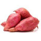 batata_doce