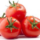 tomate.jpg2