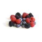 Frutos Silvestre Congelado 450g