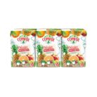 Sumo Compal Prisma Tutti Frutti Caixa 18 Unidades 330ml2