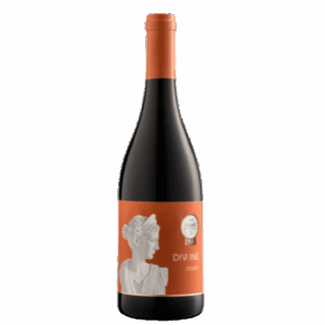 Vinho Tinto Divinis 13% 75cl