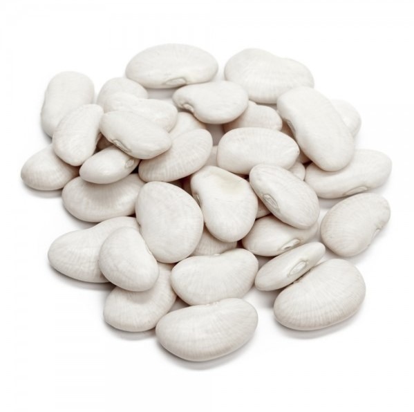 Feijão Fava 1l Feijão Fava 1l