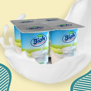 Leite Fermentado Biah Coco 170g