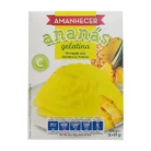 Gelatina Amanhecer Ananás 170g2