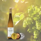 Vinho Branco Vidigueira Antão Vaz 750ml