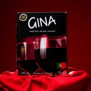 Vinho Tinto Gina Box 5l