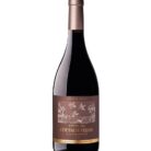 vinha-da-coutada-vinho-tinto