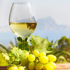 Vinho Branco